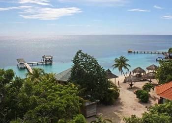 Cabana Coconut Tree West Bay