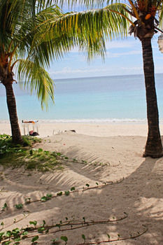 Cabana Coconut Tree West Bay