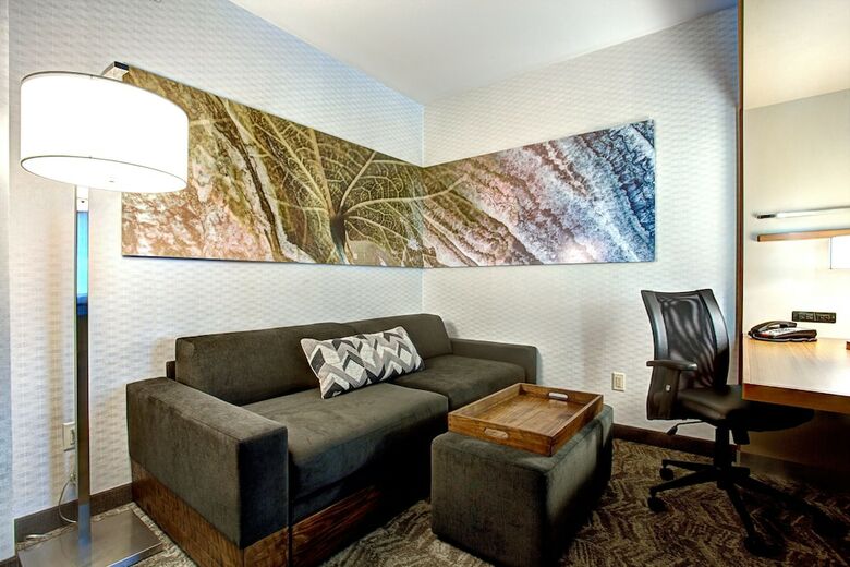 Hotel Springhill Suites By Marriott Harrisburg