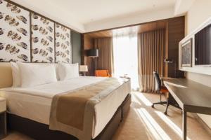 Hotel Holiday Inn Kayseri - Duvenonu