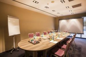 Hotel Holiday Inn Kayseri - Duvenonu