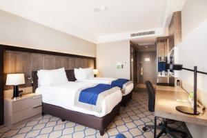 Hotel Holiday Inn Kayseri - Duvenonu