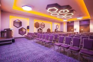 Hotel Holiday Inn Kayseri - Duvenonu