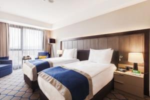 Hotel Holiday Inn Kayseri - Duvenonu