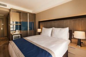 Hotel Holiday Inn Kayseri - Duvenonu