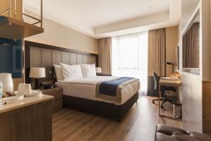 Hotel Holiday Inn Kayseri - Duvenonu