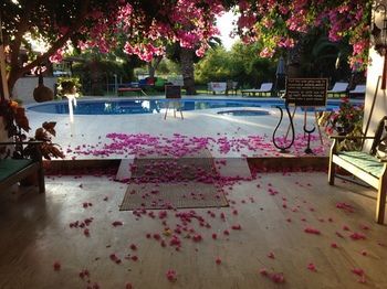 Bed & Breakfast Murat Pa?a Kona??