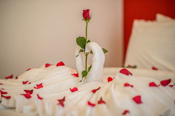Hotel Visoth Boutique