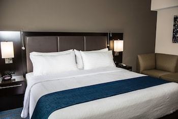 Hotel Holiday Inn Owensboro Dwtn - Ohio River