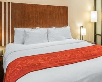 Hotel Comfort Suites
