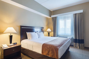 Hotel Comfort Suites Beachside