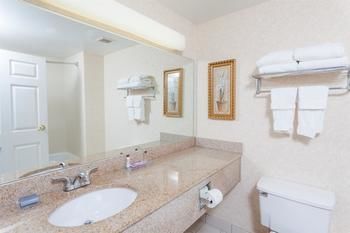 Hotel Wingate By Wyndham - Atlanta At Six Flags