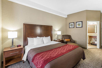 Hotel Comfort Inn South Kingsport