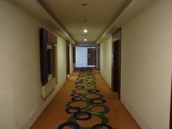 Hotel Minerva Grand