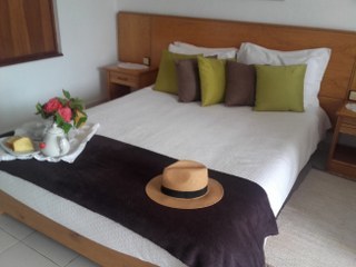 Hotel Pantanha