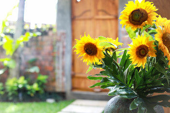 De Ubud Villas & Spa