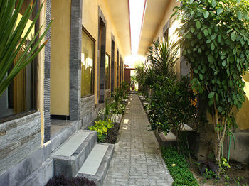 Bidadari Hotel