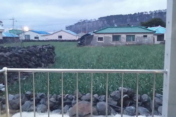 Hotel Nogorogi Pension