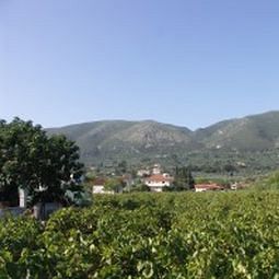 Villas Therianos