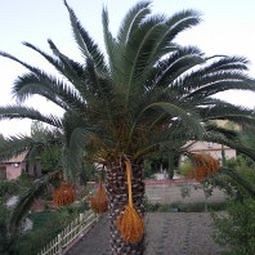 Villas Therianos