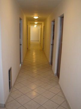Albergue Soyforaneo