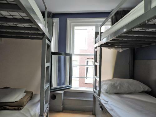 The White Tulip Hostel