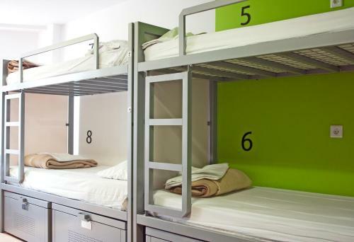 The White Tulip Hostel