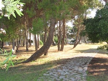 Hostal Oasis Park Hotel