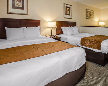 Hotel Quality Suites
