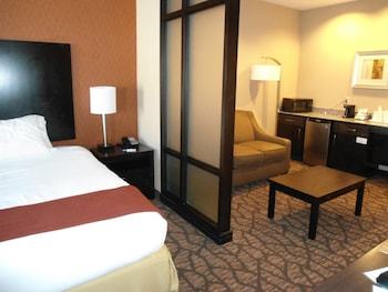 Hotel Holiday Inn Express & Suites Alpine Southeast