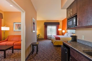 Hotel Holiday Inn Express & Suites Alpine Southeast