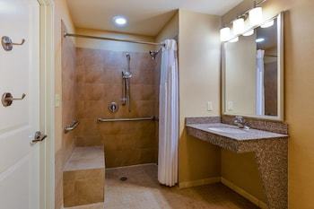 Hotel Holiday Inn Express & Suites Alpine Southeast
