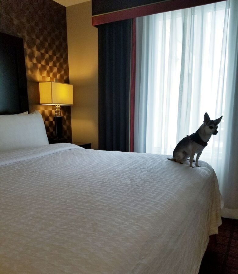 Hotel Homewood Suites By Hilton Calgary-airport, Alberta, Canada
