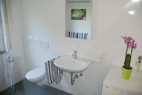 Apartamento Haus Reiser