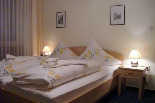 Hostal Hotel Mietz