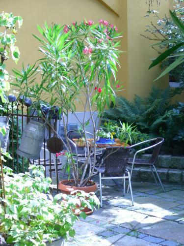 Hotel Alte Gerberei