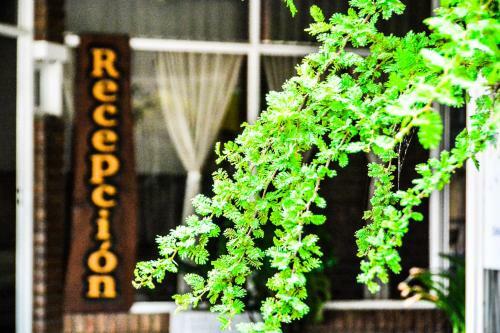 Apartamento El Quincho