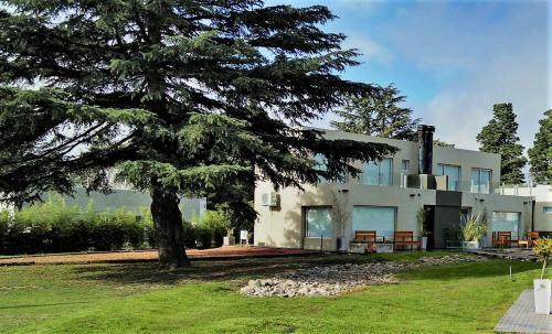 Hotel Pinar Golf
