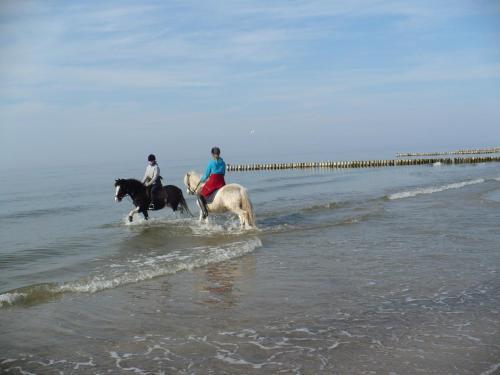 Zimmer In Hafenn�he