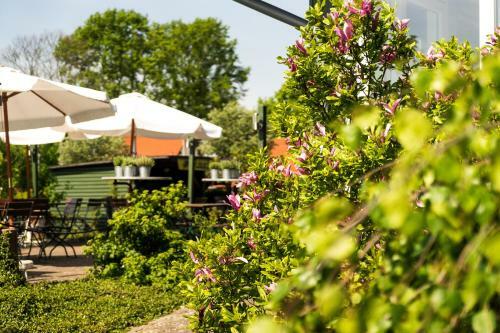 Hotel Marianne Und Restaurant Kiek In