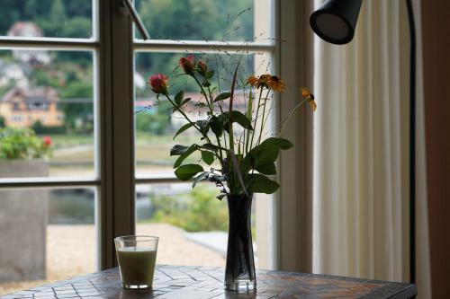 Apartamento Elbterrasse Wehlen