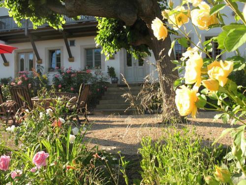 Apartamento Elbterrasse Wehlen