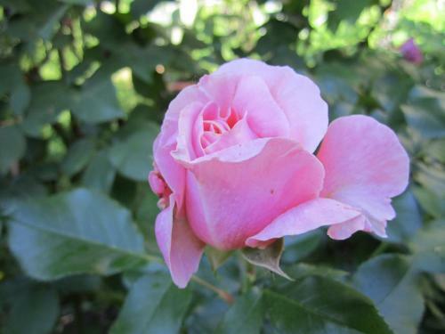 Apartamentos Kernerapartement