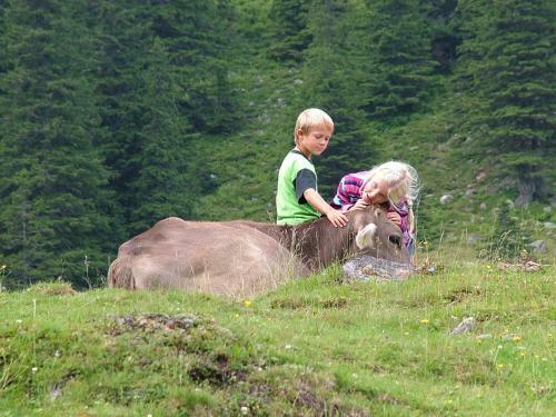 Hostal P�rcherhof