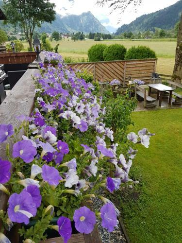 Bed & Breakfast Haus De Jong