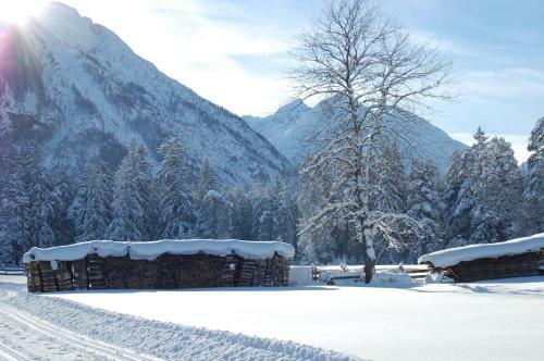 Apartamento Haus Waldrast