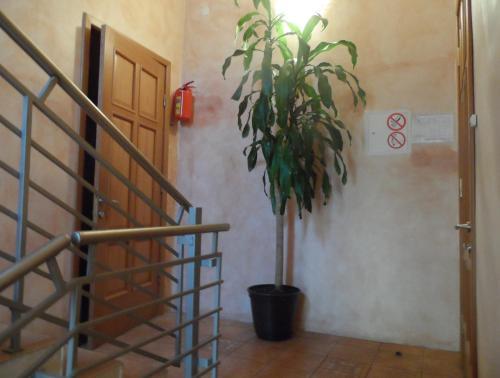 Hotel Nikita