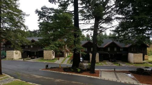Pucon House - Lake Access & Near Ski Center