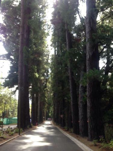 Pucon House - Lake Access & Near Ski Center