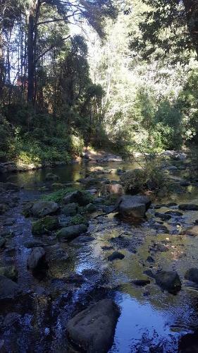 Pucon House - Lake Access & Near Ski Center